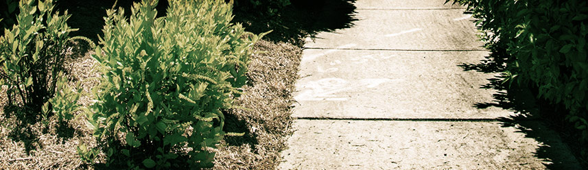 在线短信轰炸平台